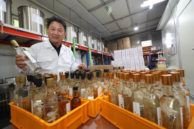 대구전통주 인삼주 인삼 산양삼 새싹삼 인삼선물세트 1000ml 18% - 상세 이미지 3