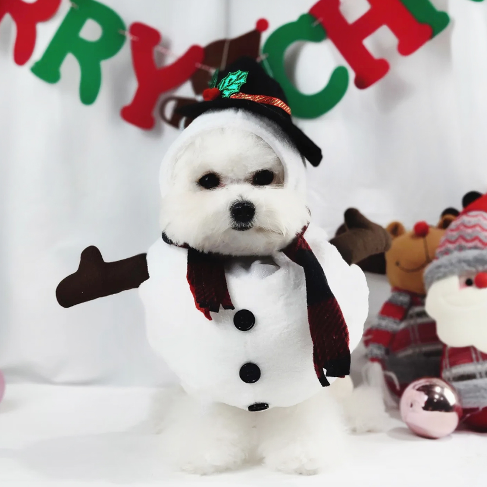 리치독스 강아지 크리스마스옷 눈사람 옷 애견 산타 코스튬