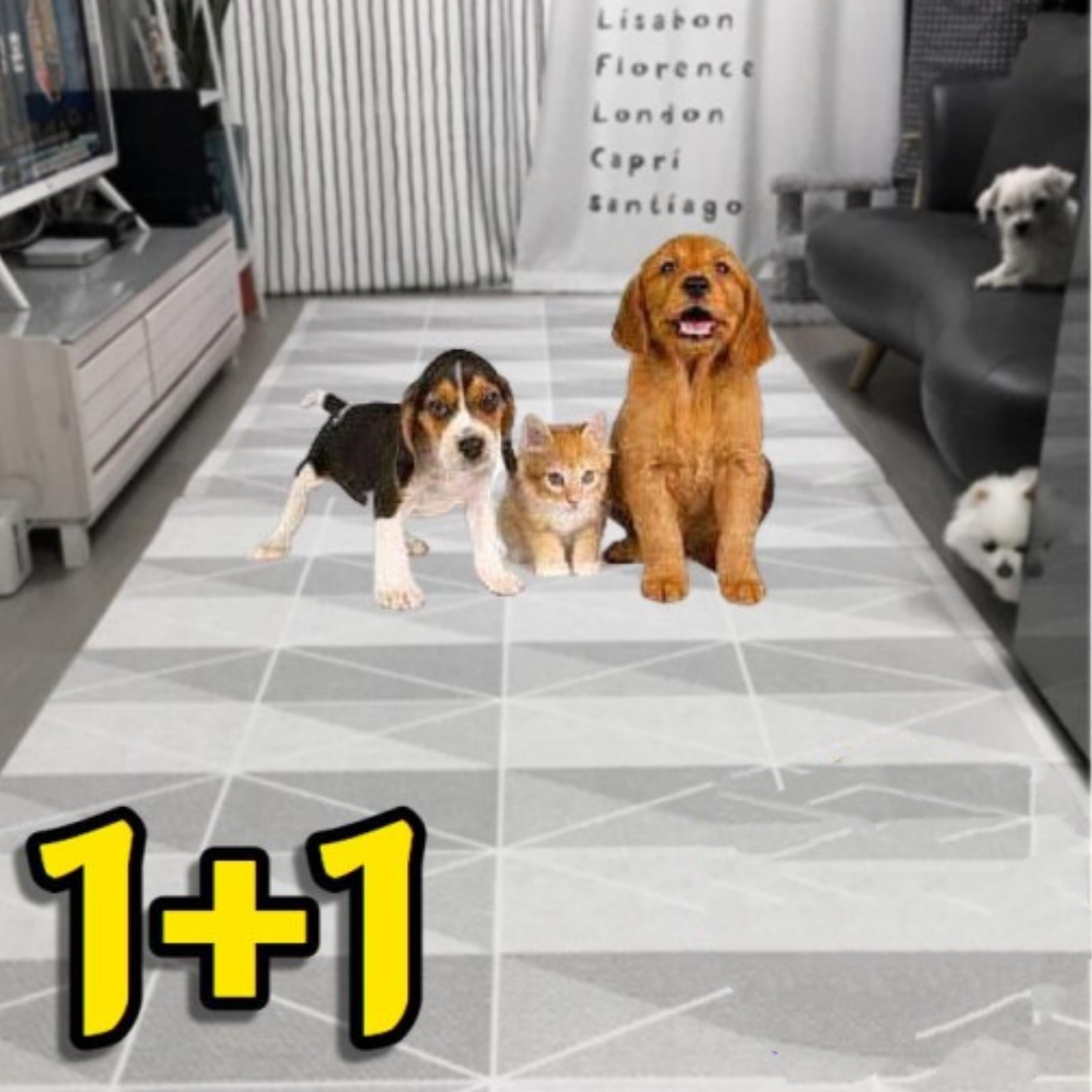 강아지 미끄럼 방지 장판 거실 애견 러그 거실용 애견 카페트