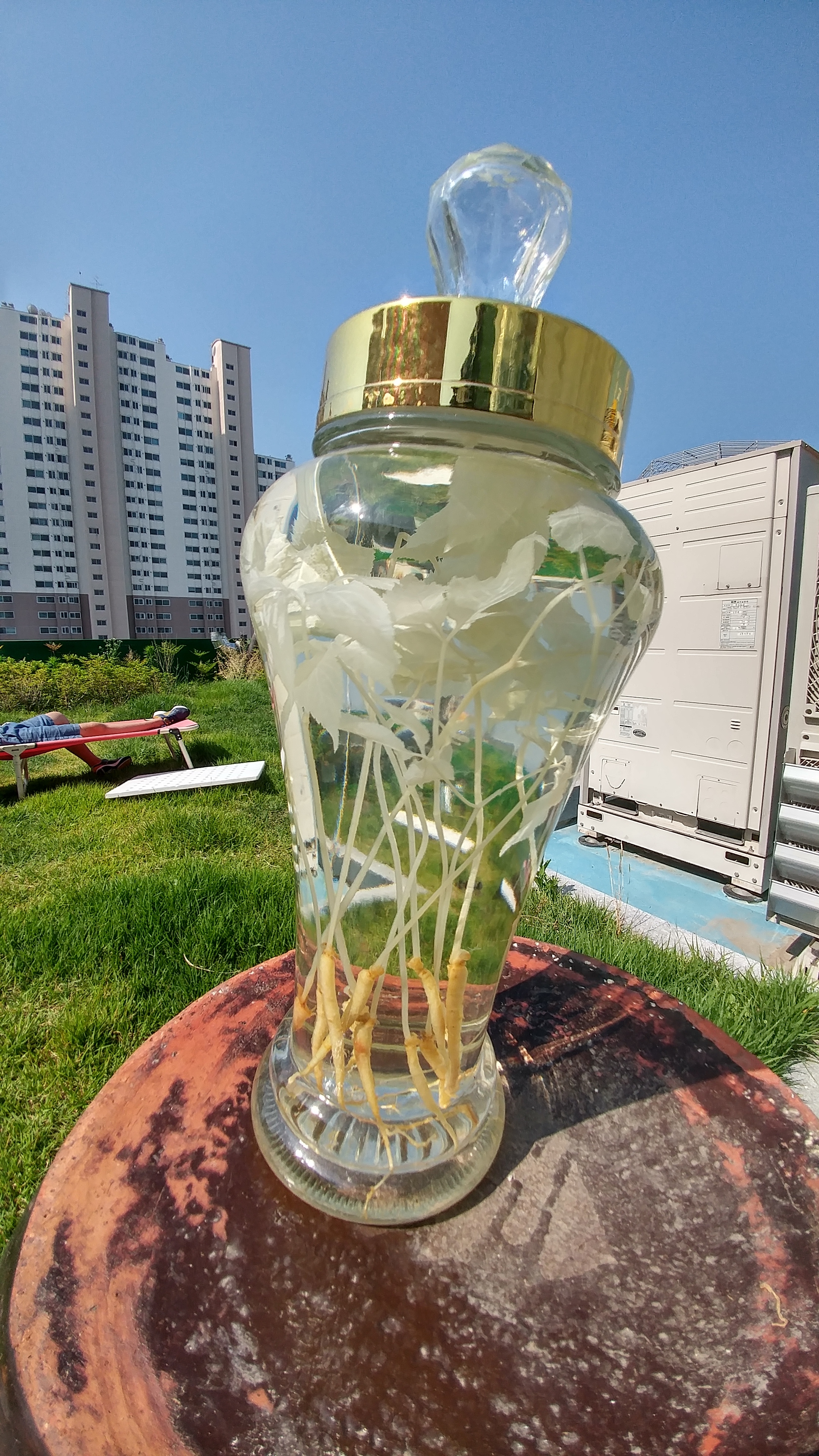대구전통주 인삼주 인삼 산양삼 새싹삼 인삼선물세트 1000ml 18% - 상세 이미지 4