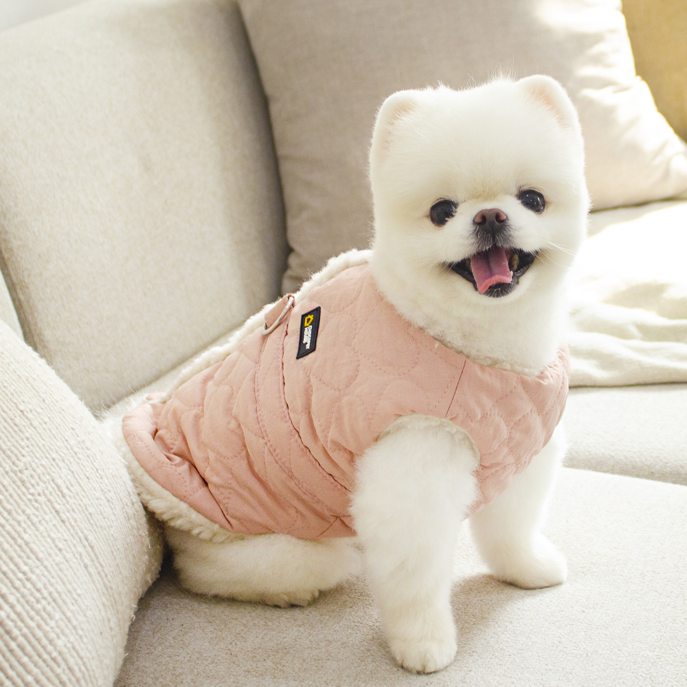 초코펫하우스 강아지패딩 하네스 강아지옷 산책왕 패딩 S