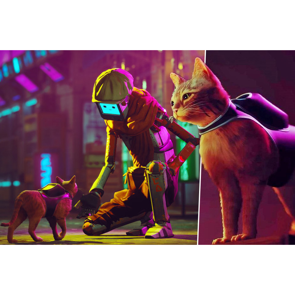 PS5 스트레이 STRAY 풀컬러 아트카드포함 해외판 한글지원 새제품 CD - 상세 이미지 4