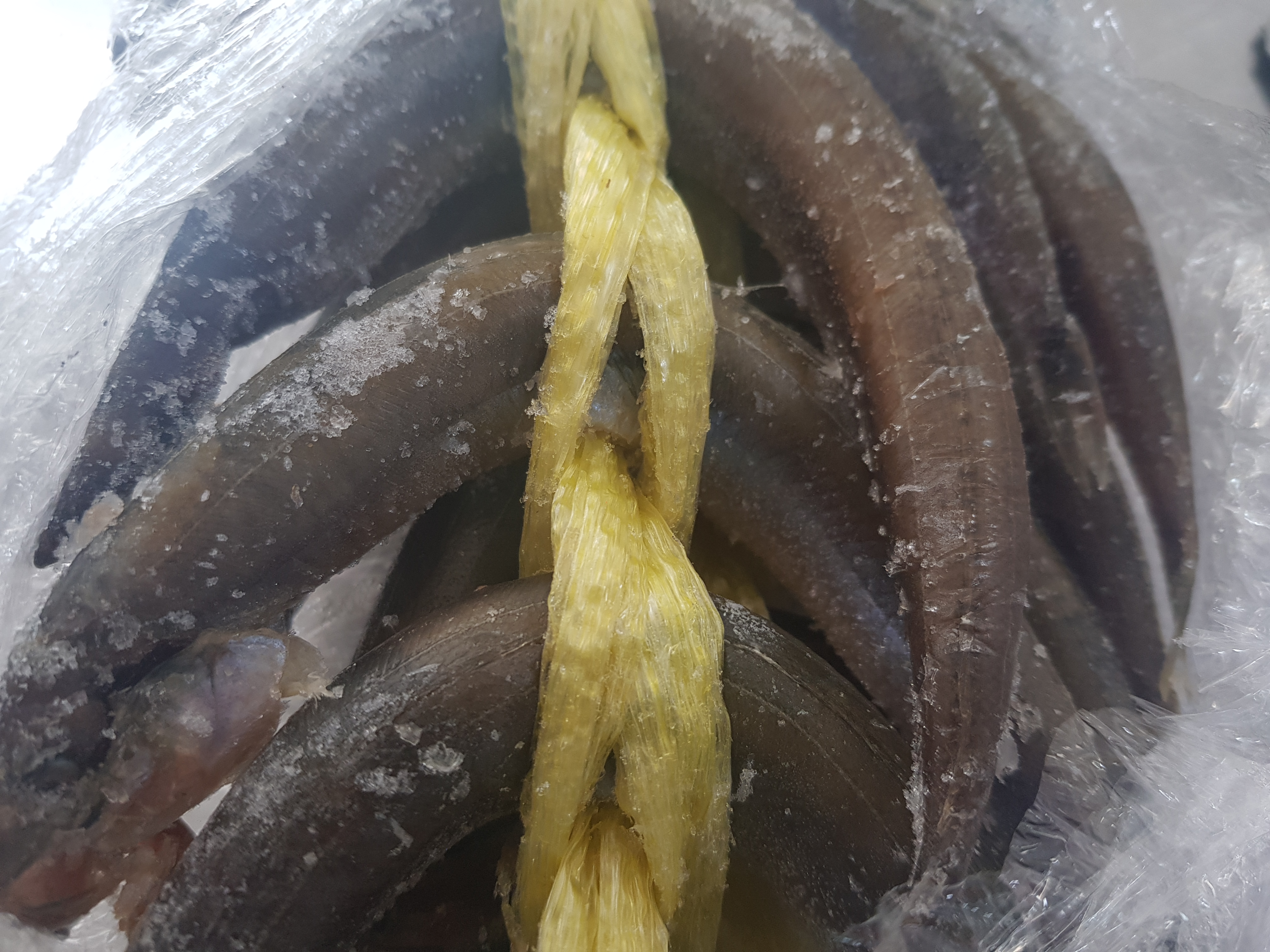 포항 구룡포햇과메기 꽁치+청어(반반세트) 과메기+ 완전손질 신선야채풀세트 이미지 8