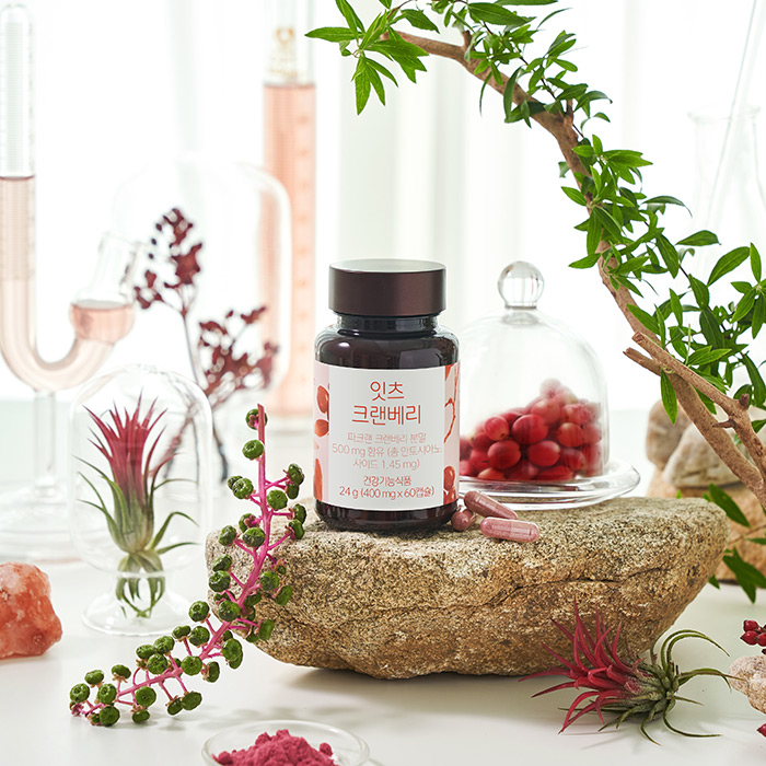 [+유산균1개] 네츄럴굿띵스 잇츠 크랜베리 방광 여성 임산부 영양제 요로건강 파크랜 60캡슐, 1개 이미지 3