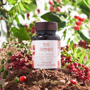 [+유산균1개] 네츄럴굿띵스 잇츠 크랜베리 방광 여성 임산부 영양제 요로... 맛있게 먹은 솔직 후기 - 상품 이미지 4