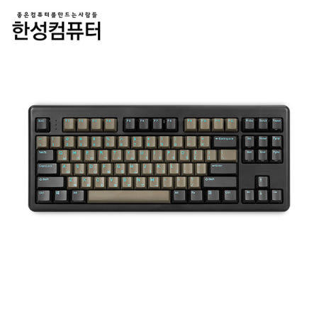 한성컴퓨터 한성컴퓨터 TFG ART Wireless V2 듀얼무선 기계식 키보드 (블랙, 갈축)