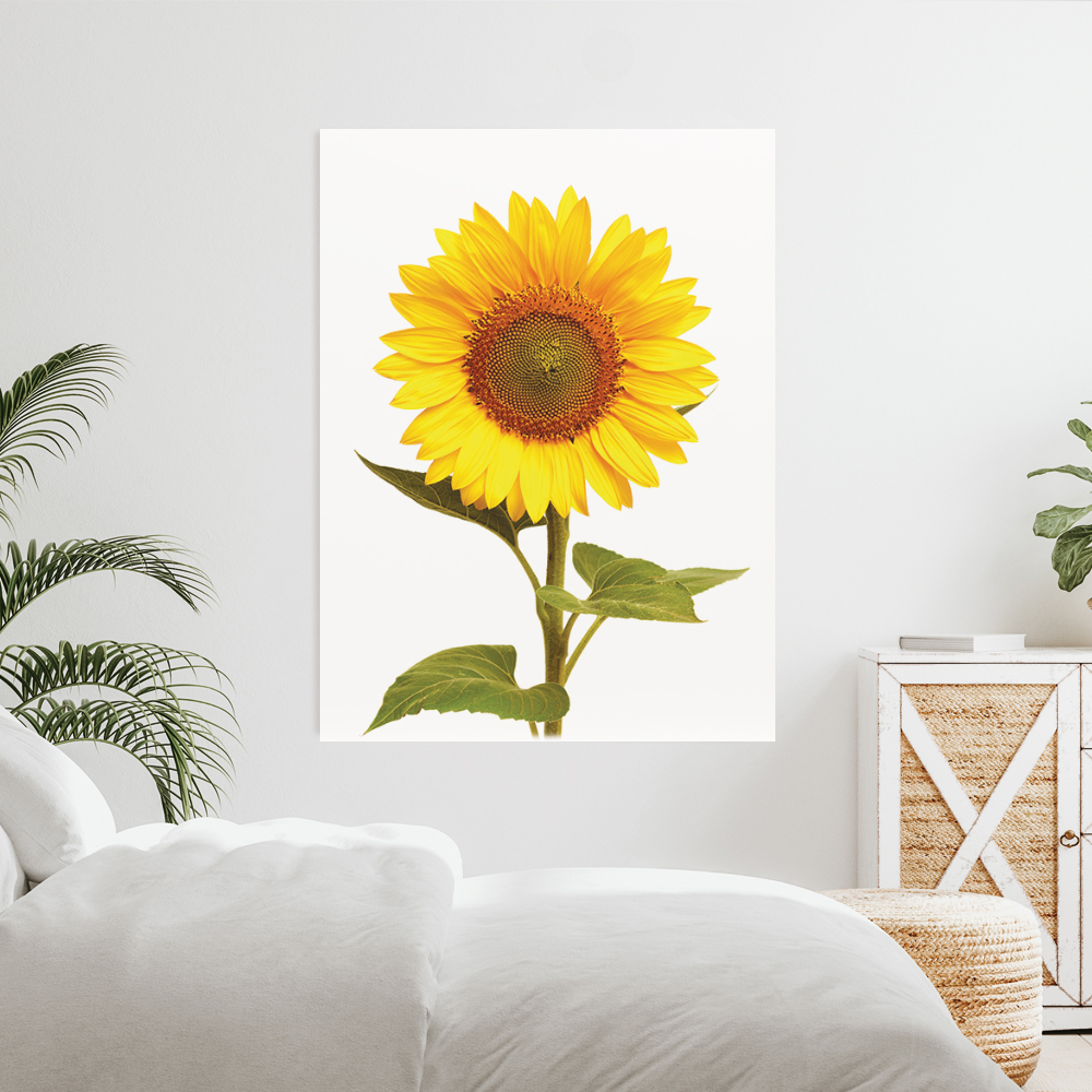해바라기 그림 개업 거실 황금 집들이 선물 액자 인테리어 개업선물포스터 썬플라워 A2