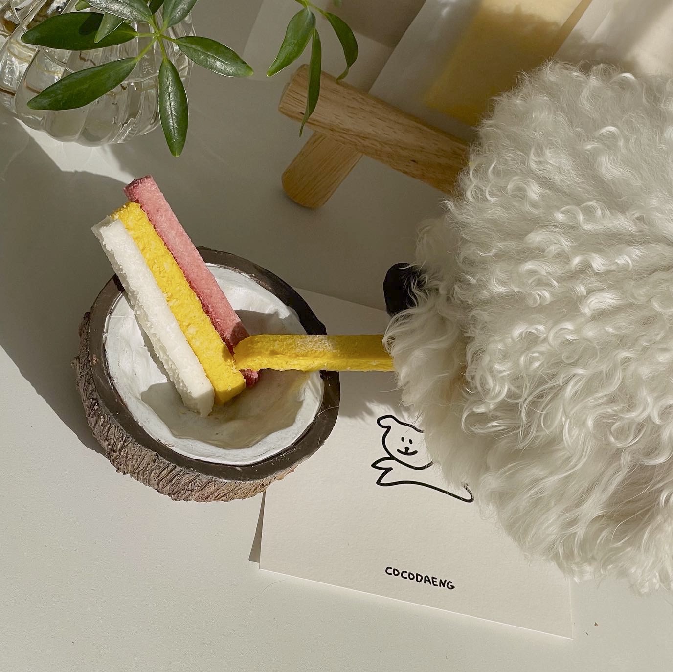 강아지 수제간식 순순스틱 보양식 반려견 대형견 노견 비건 생식 아이스크림 코코넛, 70g, 1개