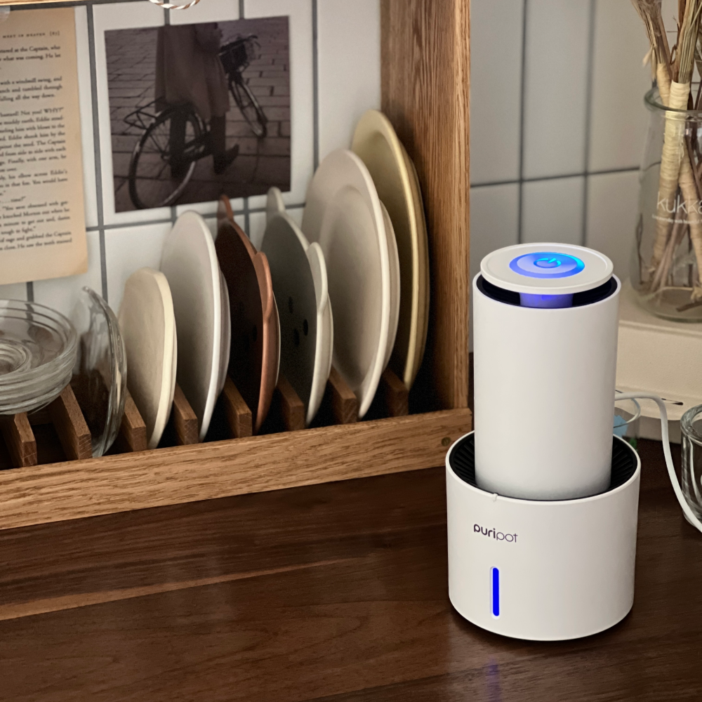퓨리팟 P1 원룸 공기청정기 공기살균기 소형 탁상용 사무실 화장실 펫 냄새제거 필터없는