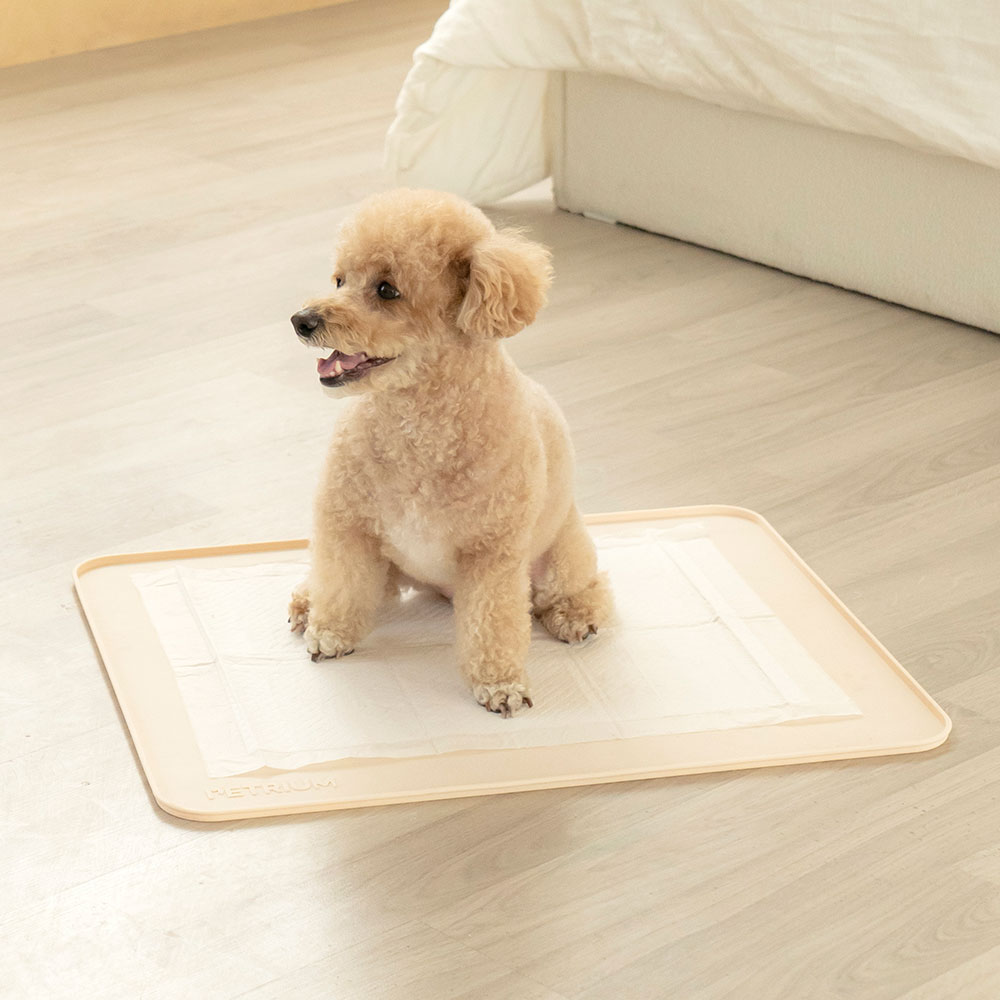 펫트리움 논슬립 실리콘 배변매트 강아지 배변판 화장실 아이보리, 중