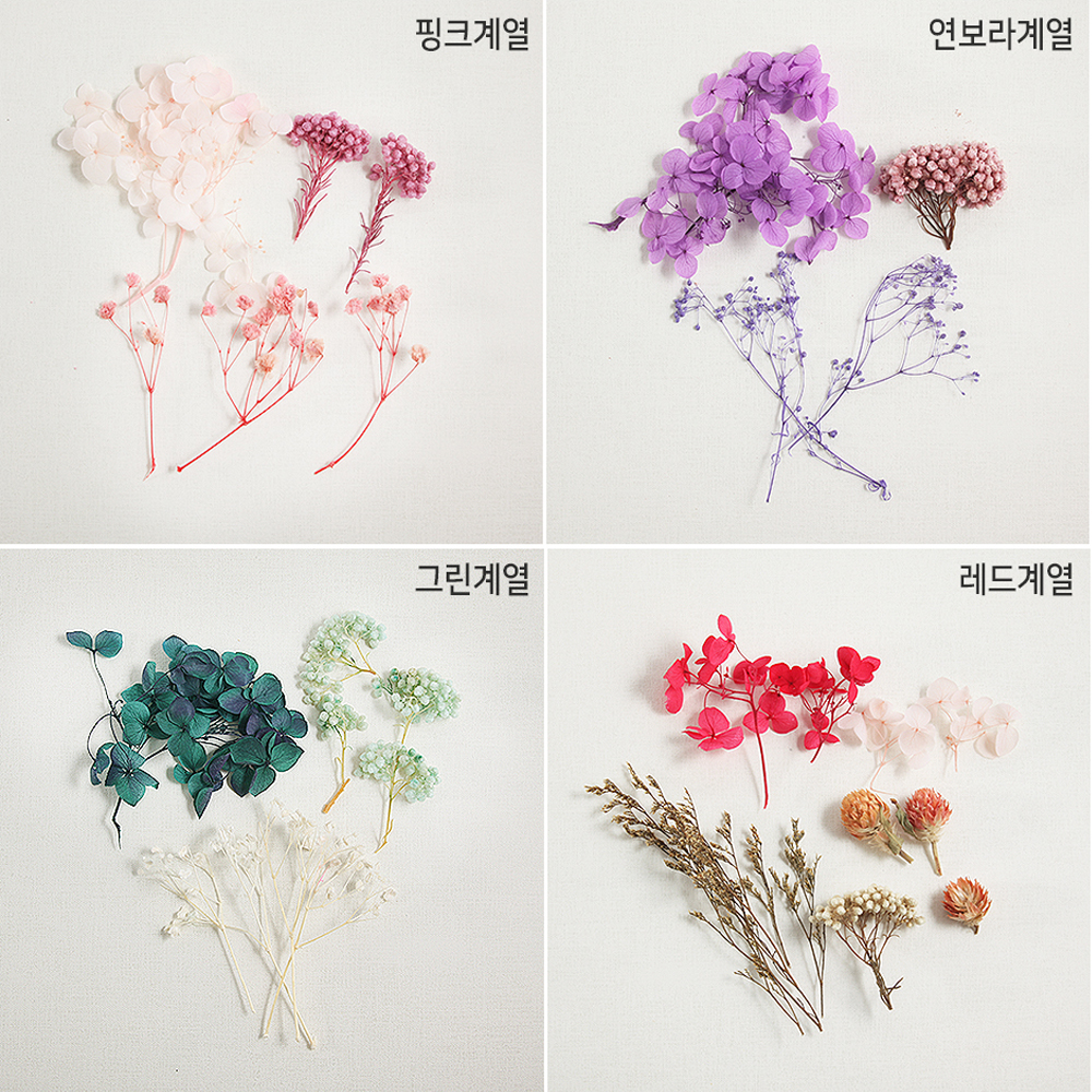 프레스코21 하바리움 만들기 전구페트병(100ml) 10인 세트 - 상세 이미지 3