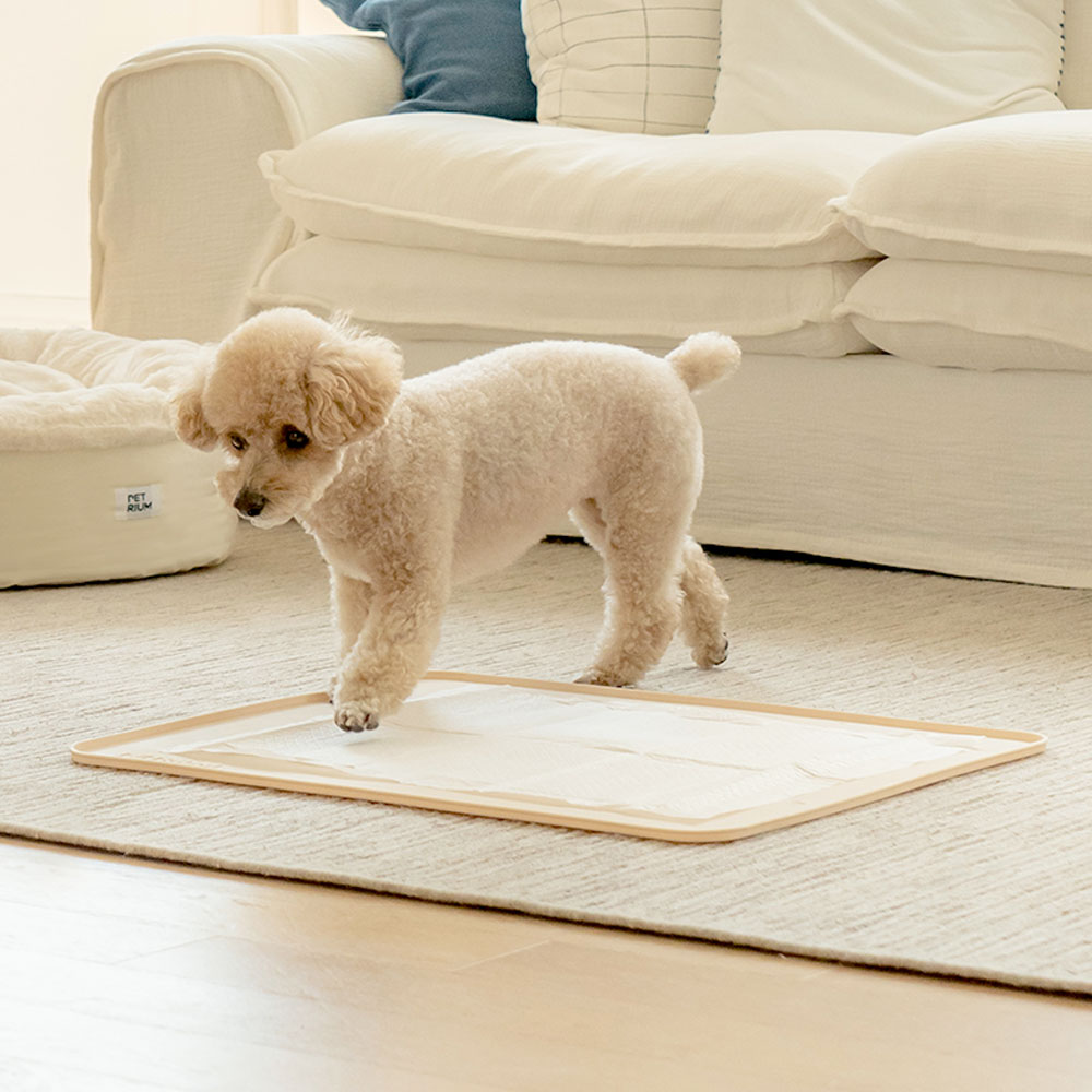 펫트리움 논슬립 실리콘 배변매트 강아지 배변판 화장실 아이보리, 대