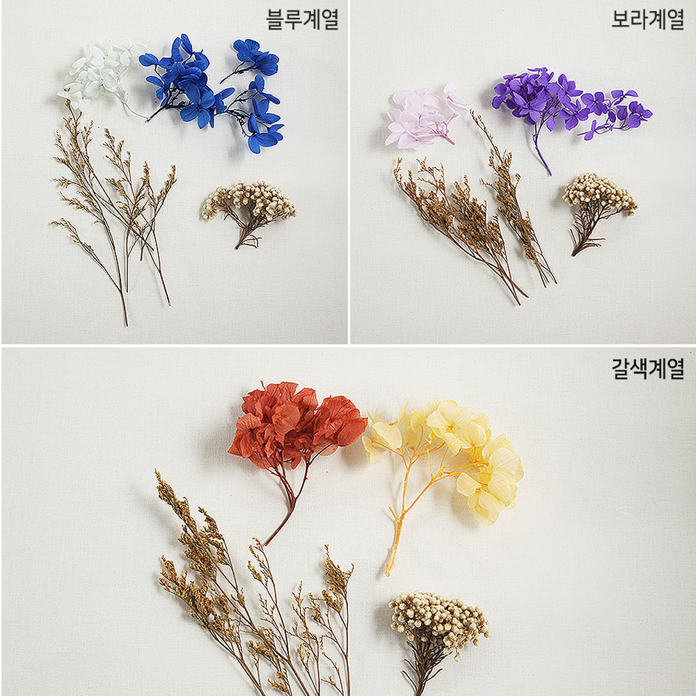 프레스코21 하바리움 만들기 전구페트병(100ml) 10인 세트 - 상세 이미지 4
