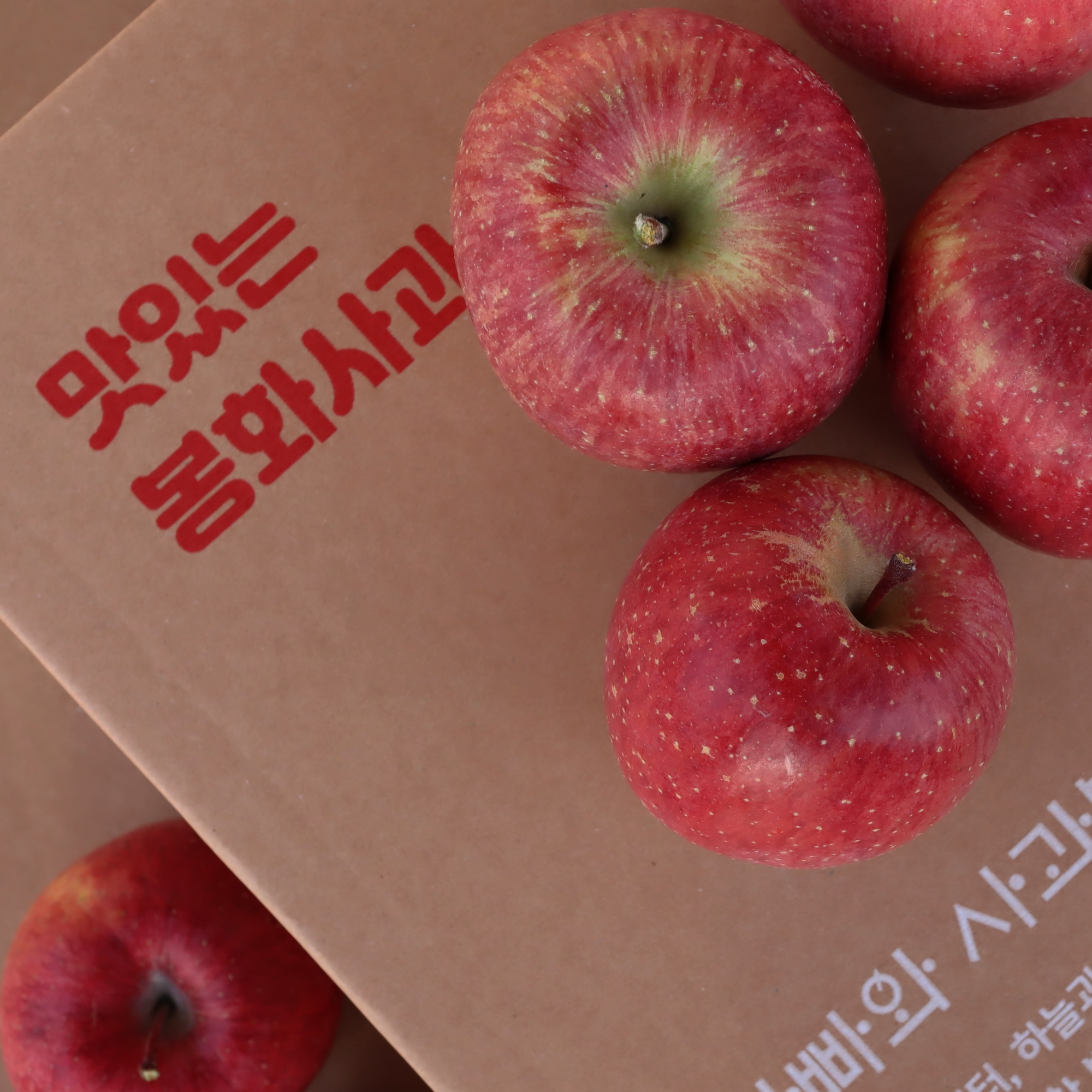 경북 봉화 꿀 부사사과 5KG 산지직송 - 상세 이미지 5