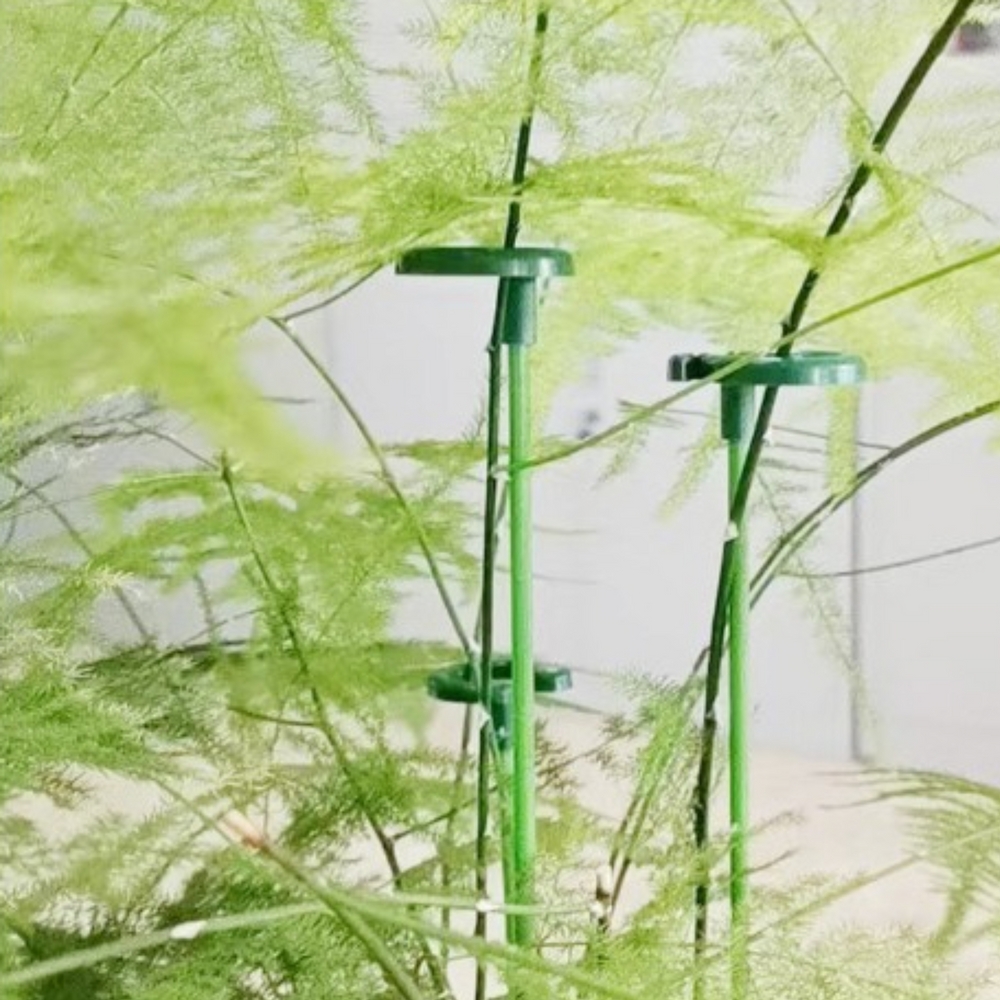 뚱크 식물지지대 텃밭 묘목 화초 꽃 넝쿨 고정 지주대 18cm - 상세 이미지 4