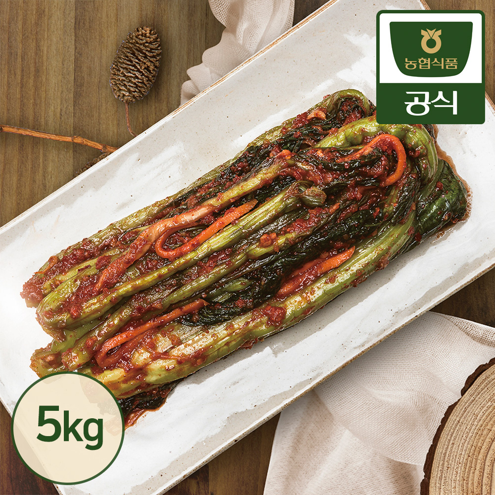 농협식품 한국농협김치 갓김치 5kg - 메인 이미지