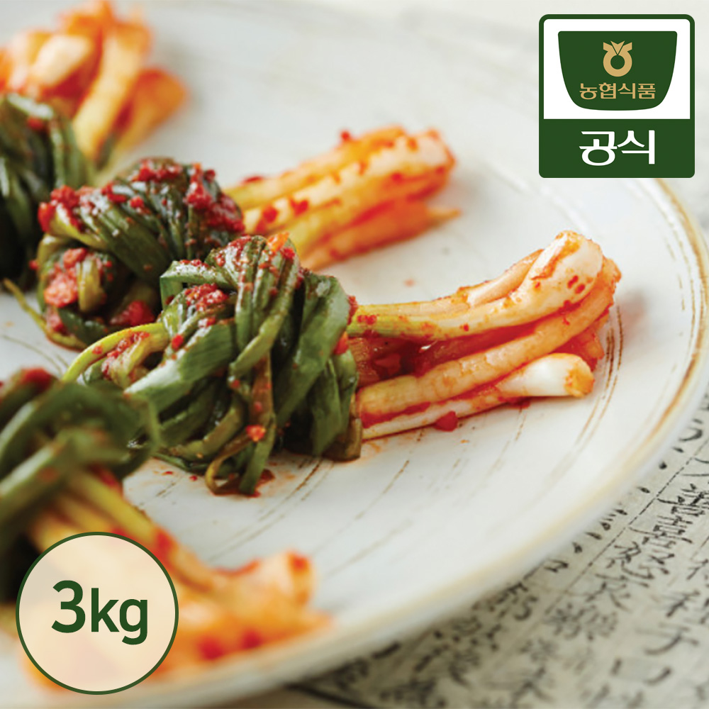 농협식품 한국농협김치 파김치 3kg - 상품 이미지