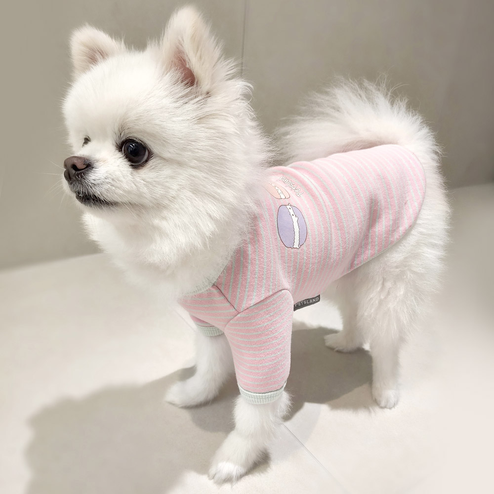 강아지 실내복 겨울옷 티셔츠 강아지옷 달콤+롤리기획세트 - 상세 이미지 4