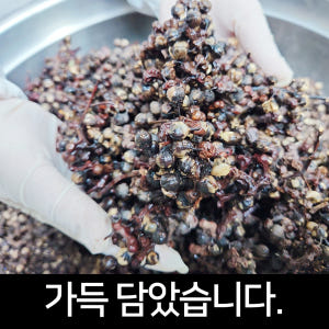 힘가네 헛개수 원액 담은 헛개 진액 헛개차 600g 맛있게 먹은 솔직 후기 - 상품 이미지 4