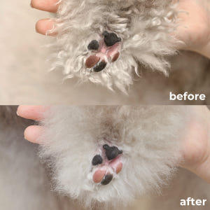 비알머드 강아지 목욕 샴푸 피부 머드팩 아토피 약용샴푸 발사탕 각질제거 ... 솔직 후기 | 실제 사용자 리뷰 총정리 - 상품 이미지 3