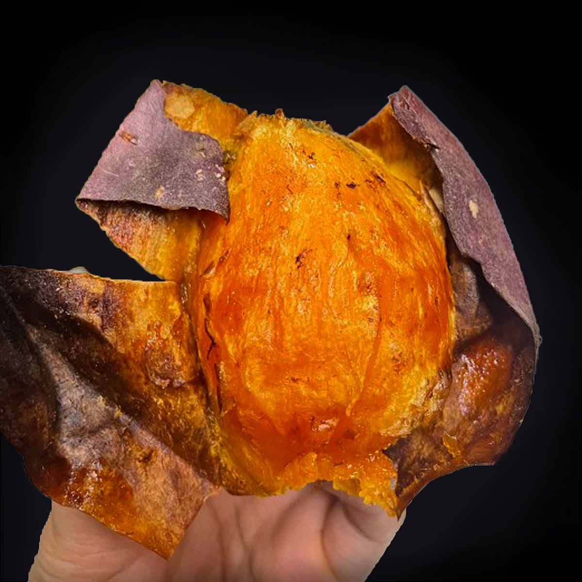 https://shop-phinf.pstatic.net/20221115_292/16684814618465crAb_JPEG/69617296579819609_233339910.jpg