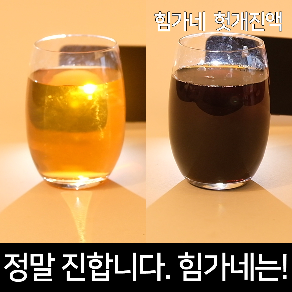 힘가네 헛개수 원액 담은 헛개 진액 헛개차 600g