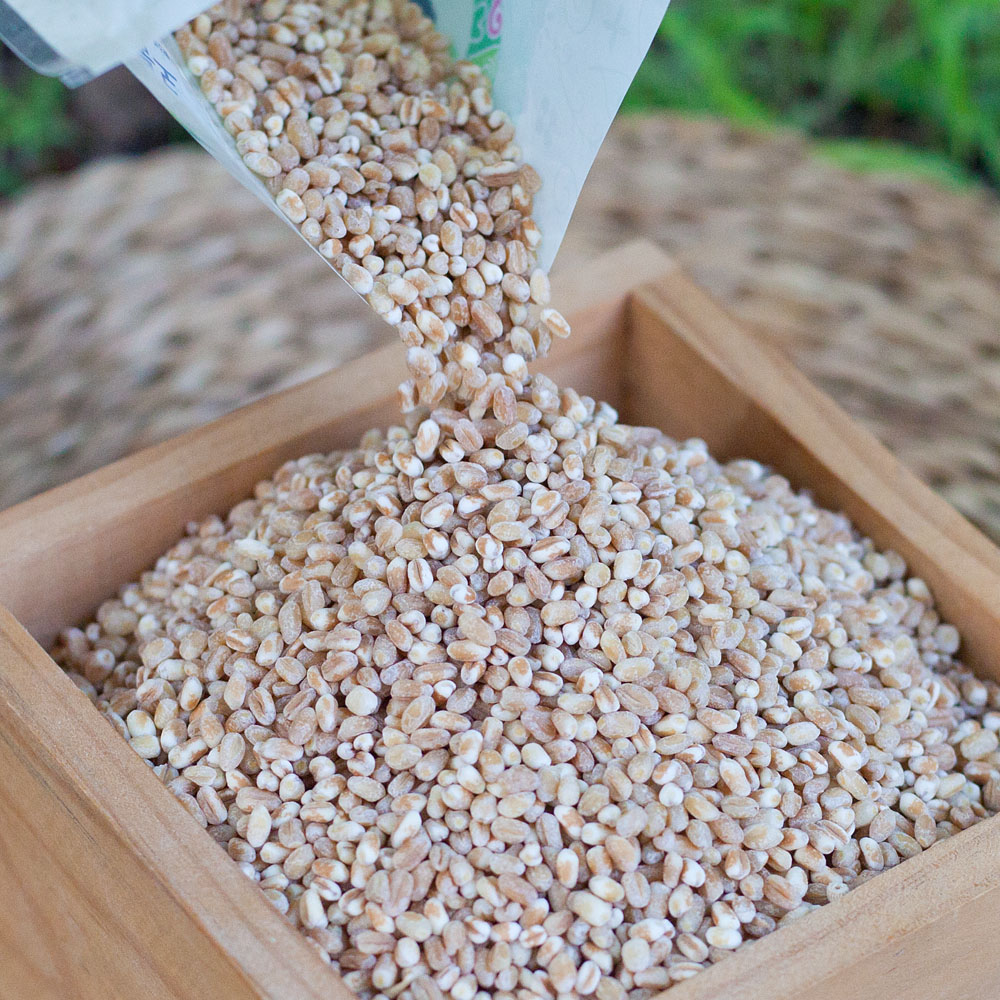 국산 통밀쌀 유기농 밀쌀 통밀밥 생밀 1kg - 상세 이미지 5