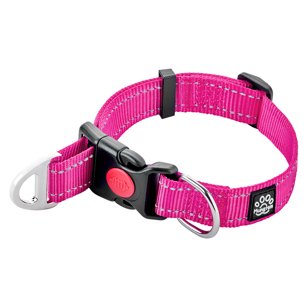 마틴게일 목줄 강아지 반초크 소형견 훈련용 멀티 마팅게일 XS 이미지 4