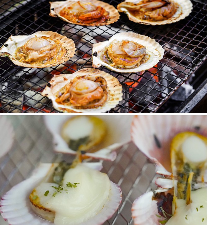통영 고성 가리비 홍가리비 2kg 제철 직판 택배 산지 직송 이미지 7