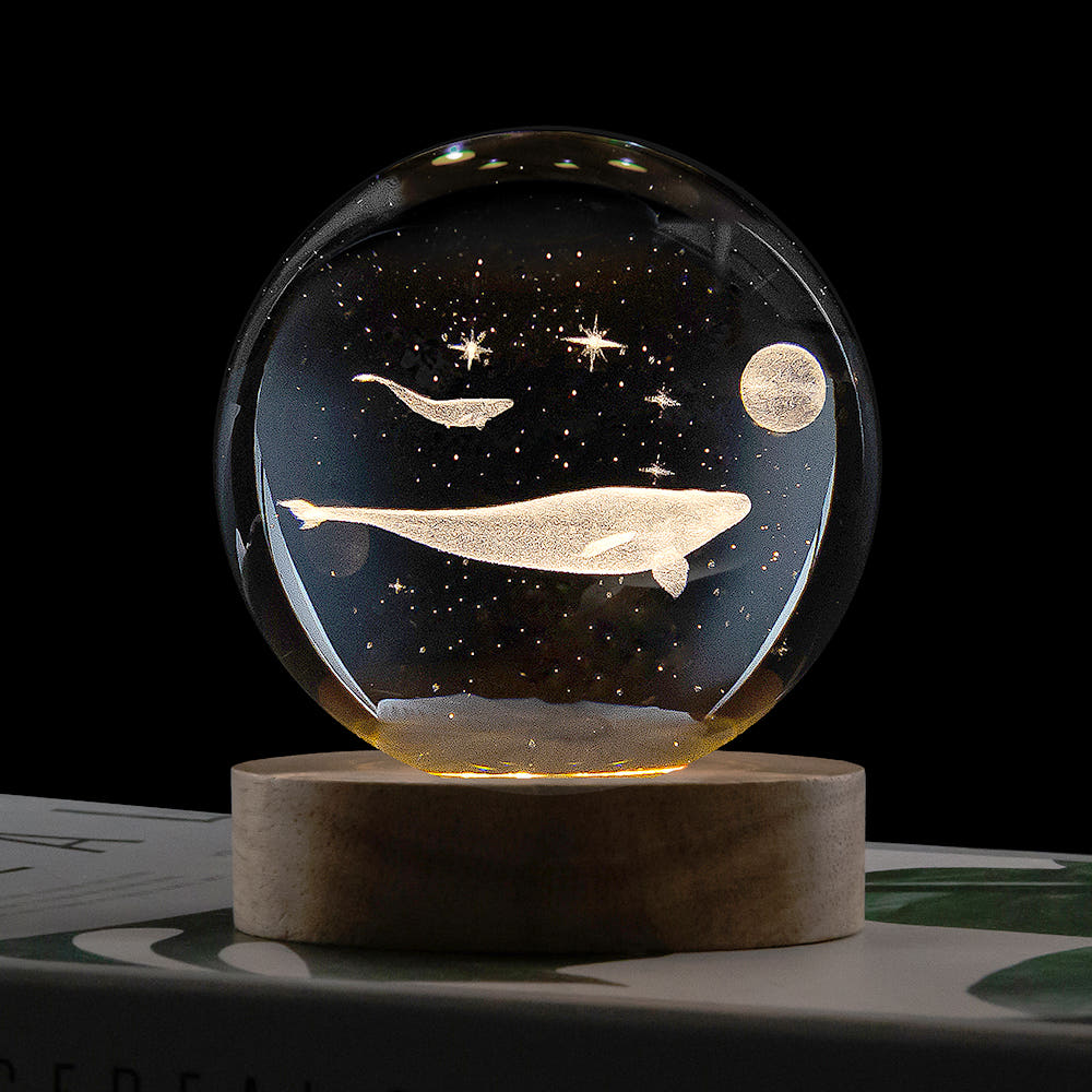 레토 고래 무드등