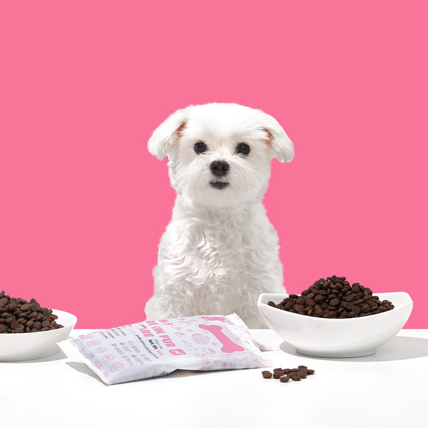 본아페티 강아지 기능성 소프트사료 피부+알러지, 1kg, 1개 사진 4