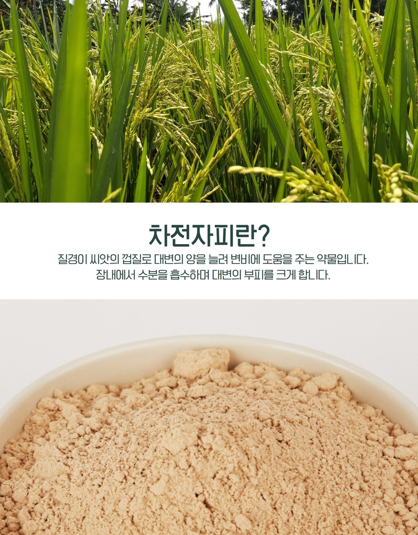 경동시장 차전자피가루 분말 500g 대용량 - 상세 이미지 3
