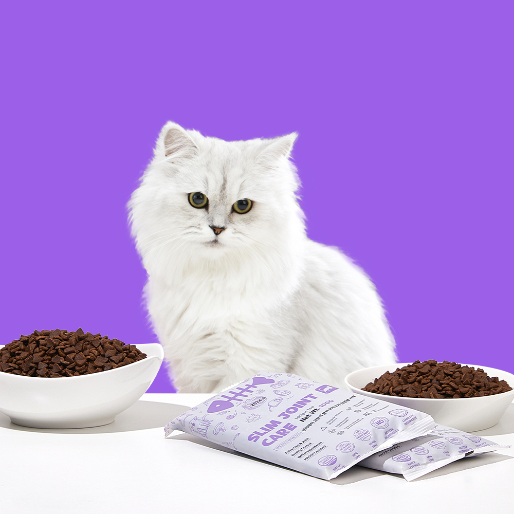 본아페티 고양이 사료 관절 다이어트 건식 체중조절 기능성 참치+오리, 1kg, 1개 이미지 2