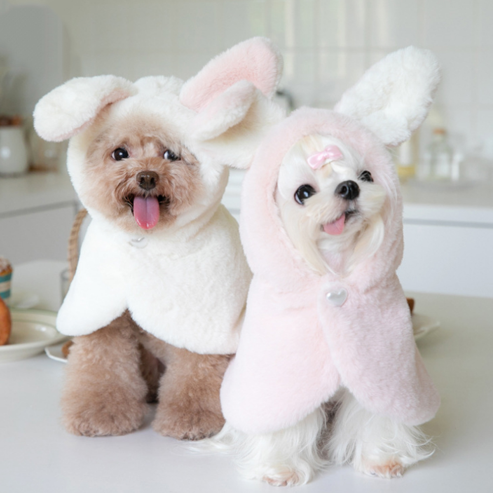 리치독스 강아지 망토 겨울 고양이 숄 담요 화이트 S 토끼망토 이미지 2