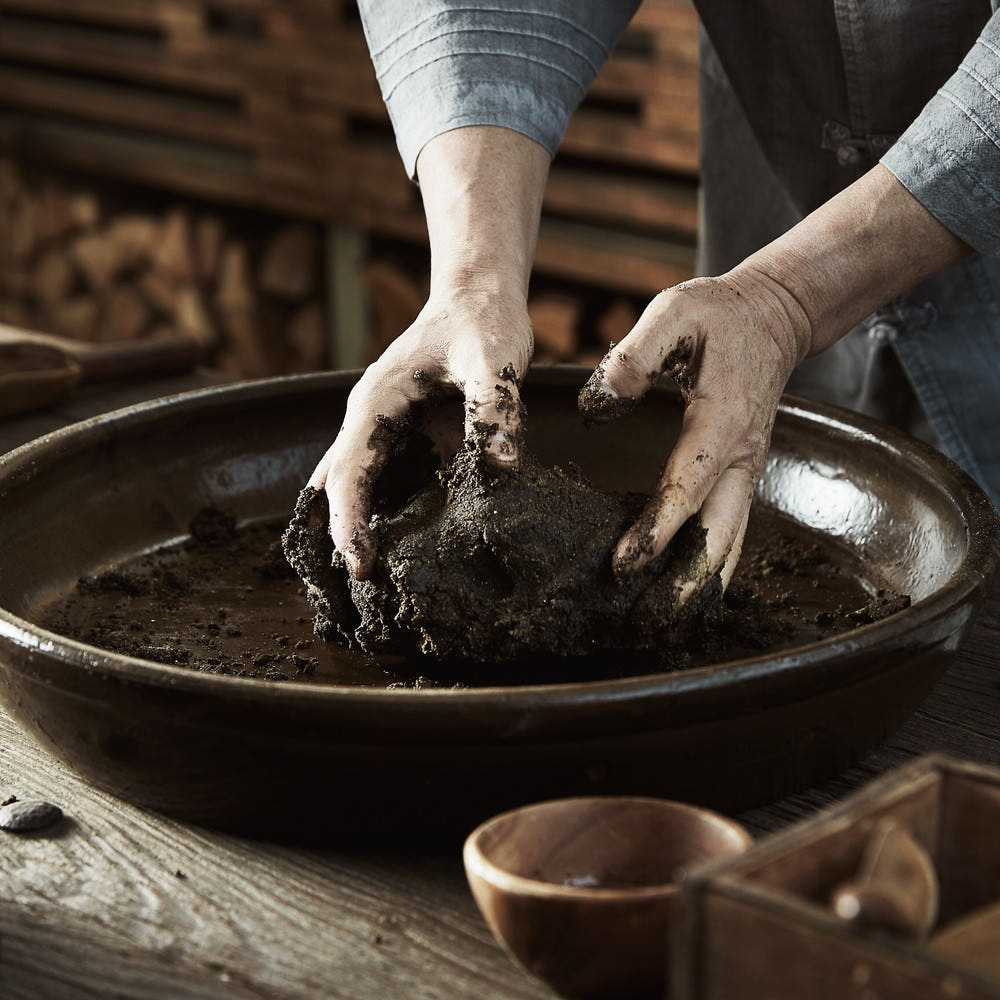 조선비책 침향환