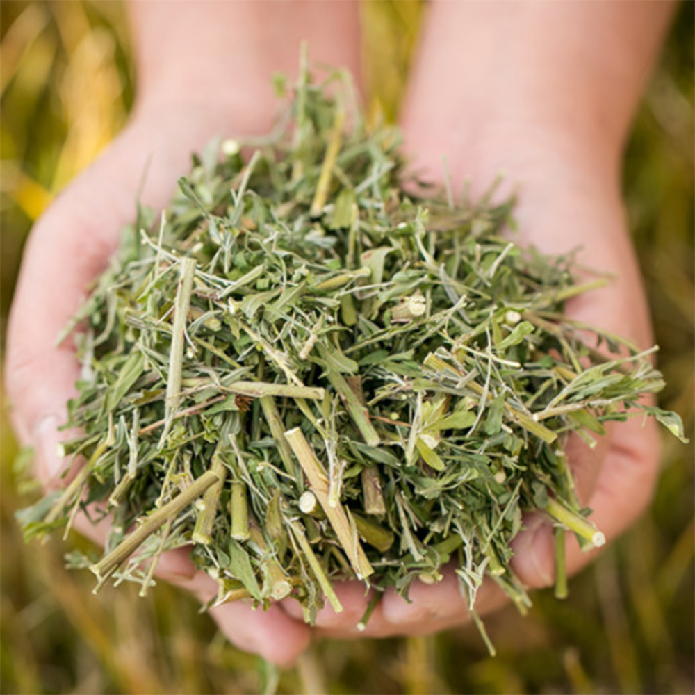 국산 100% 말린 야관문 비수리 600g 제품 이미지