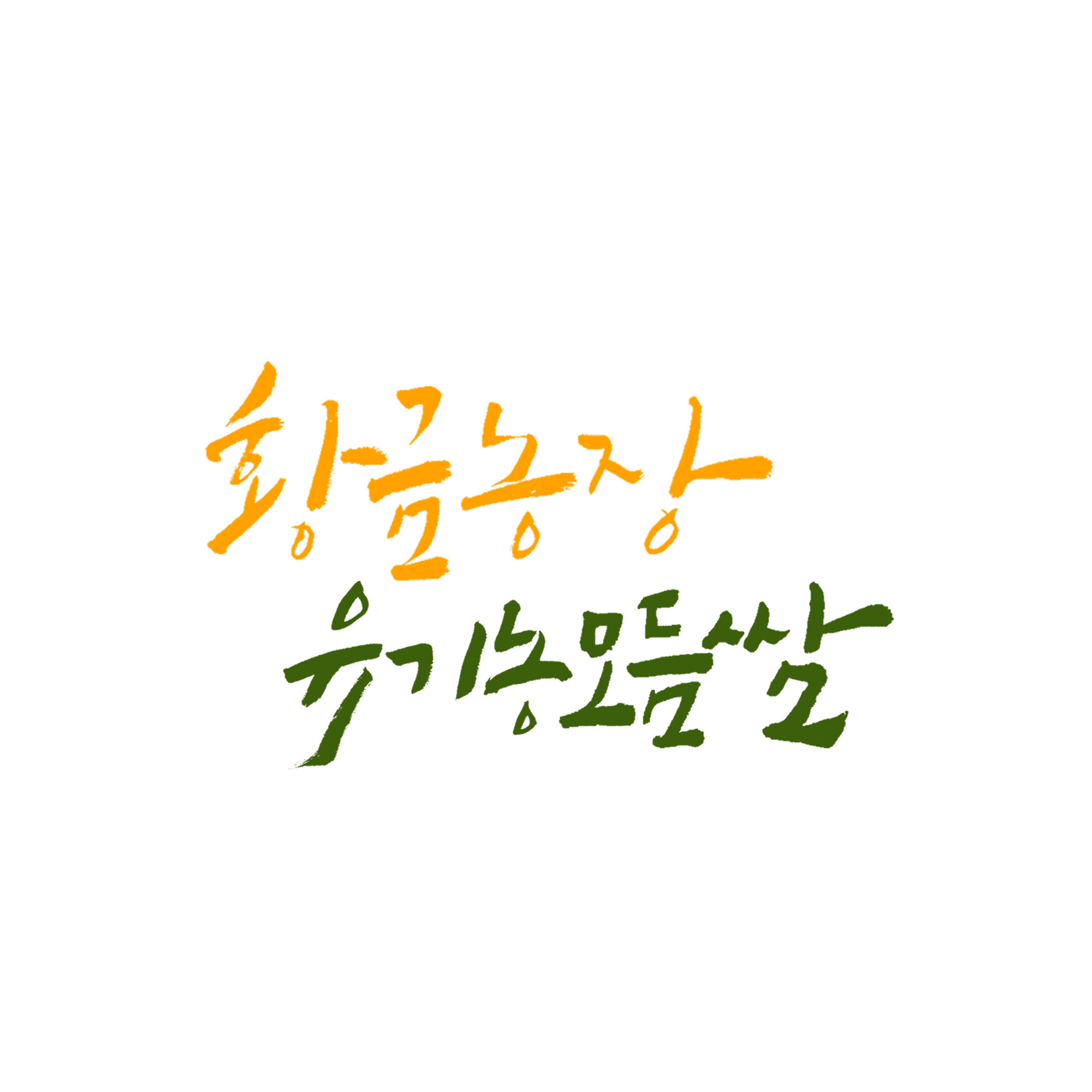 [황금농장] 친환경 쌈채소600g,1kg : 황금농장