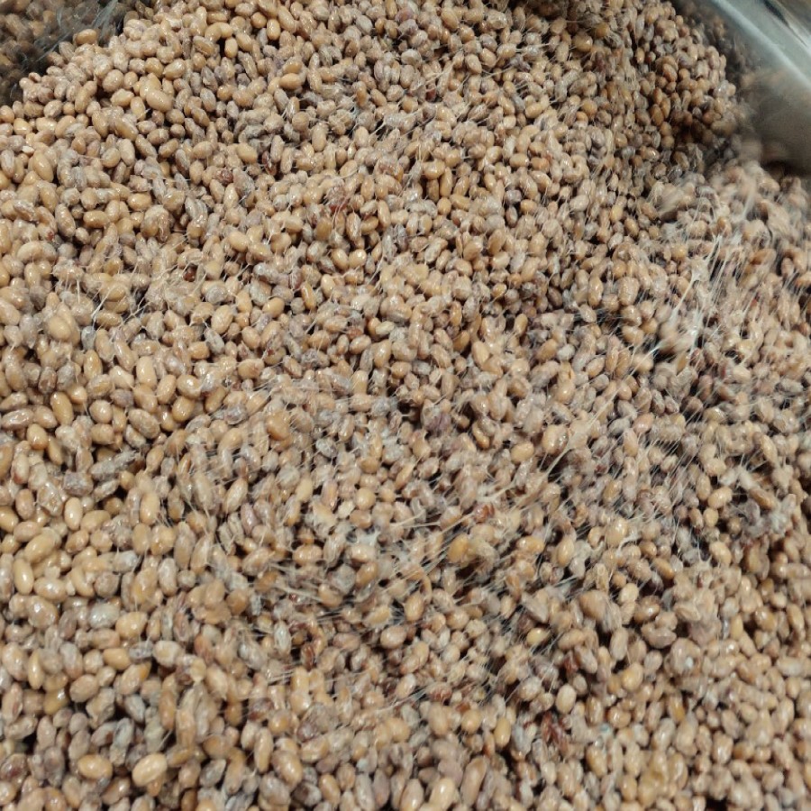 전통방식 구수한 깊은맛 강원도 홍천 청국장 1kg (250g 4팩) 이미지 6