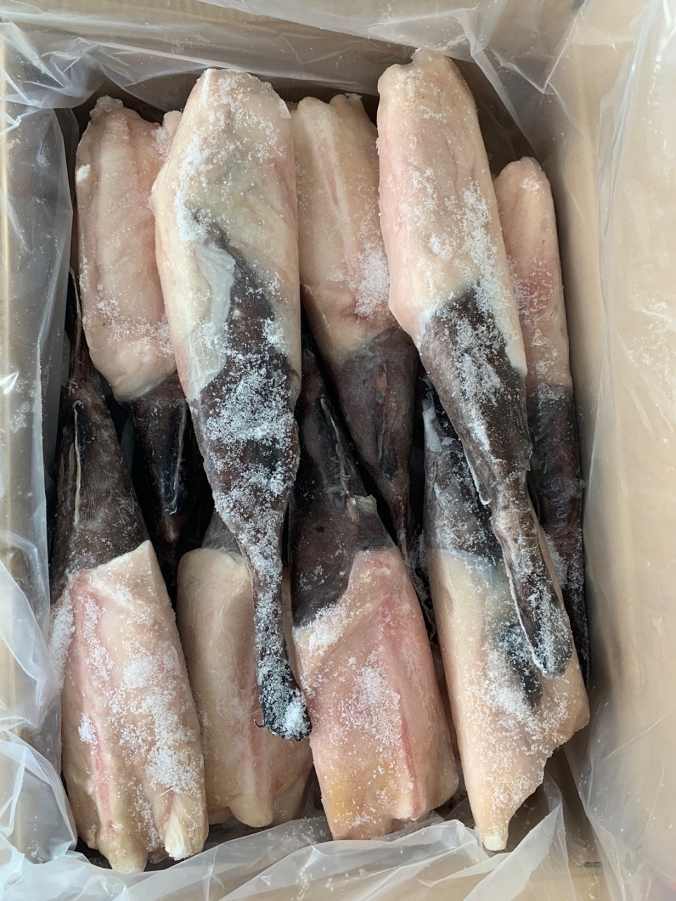 [대용량] 아귀꼬리순살 10kg (500/700) 1Box