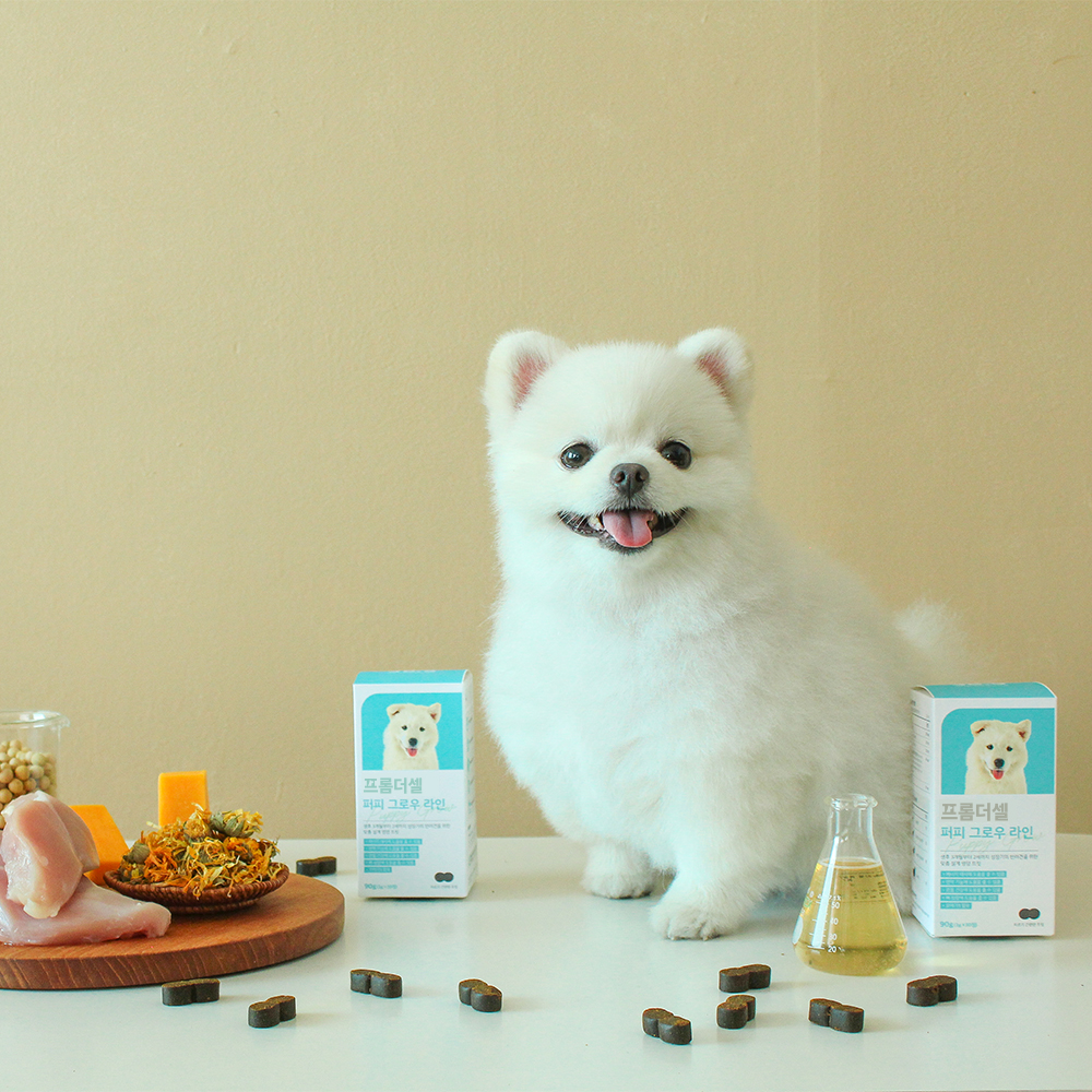 프롬더셀 강아지 성장기 종합 영양제 관절 면역 칼슘 종합비타민 30정 - 상세 이미지 4