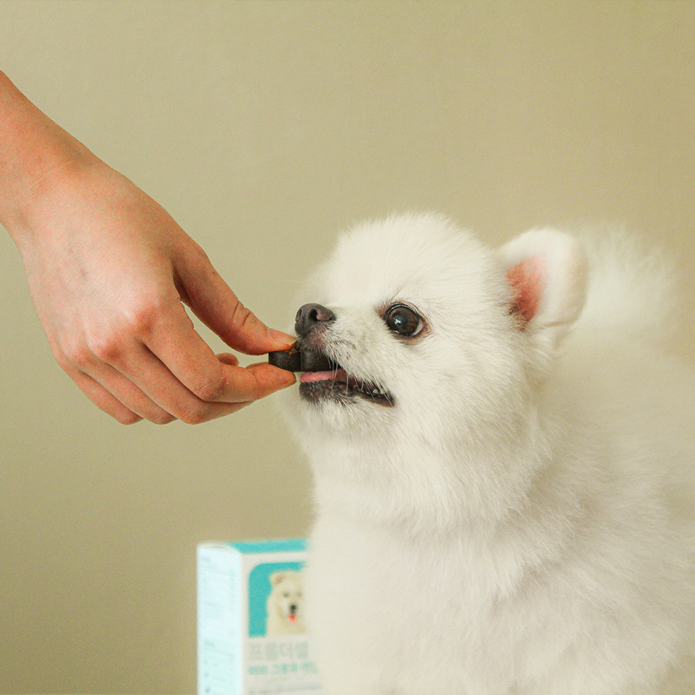 프롬더셀 강아지 성장기 종합 영양제 관절 면역 칼슘 종합비타민 30정 - 상세 이미지 5