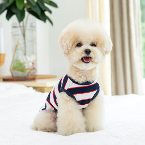 강아지봄옷 강아지나시 펫츠랜드 단가라봉봉티셔츠 솔직 후기 | 실제 사용자 리뷰 총정리 - 상품 이미지 4