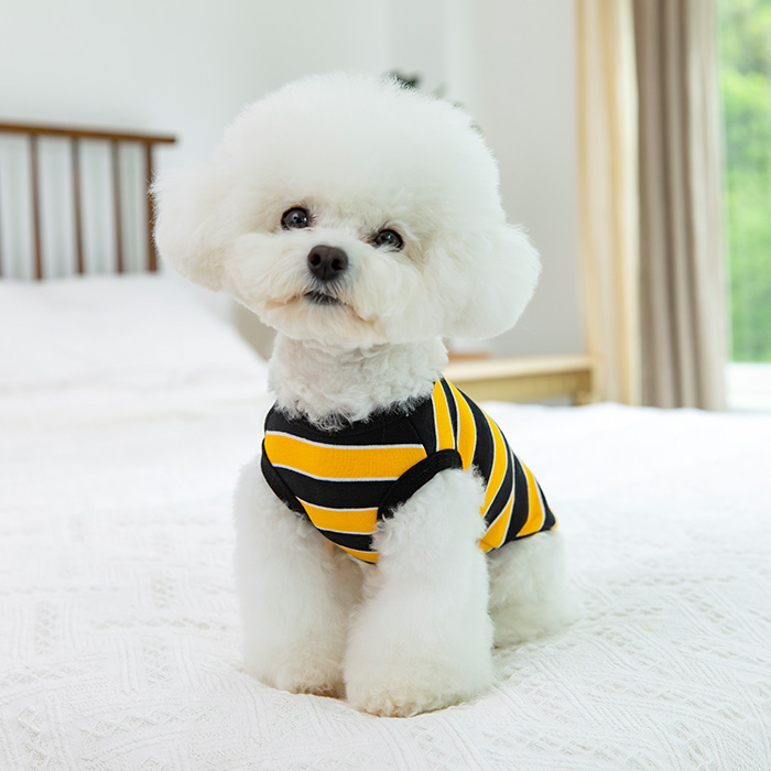 강아지봄옷 강아지나시 펫츠랜드 단가라봉봉티셔츠 이미지 3