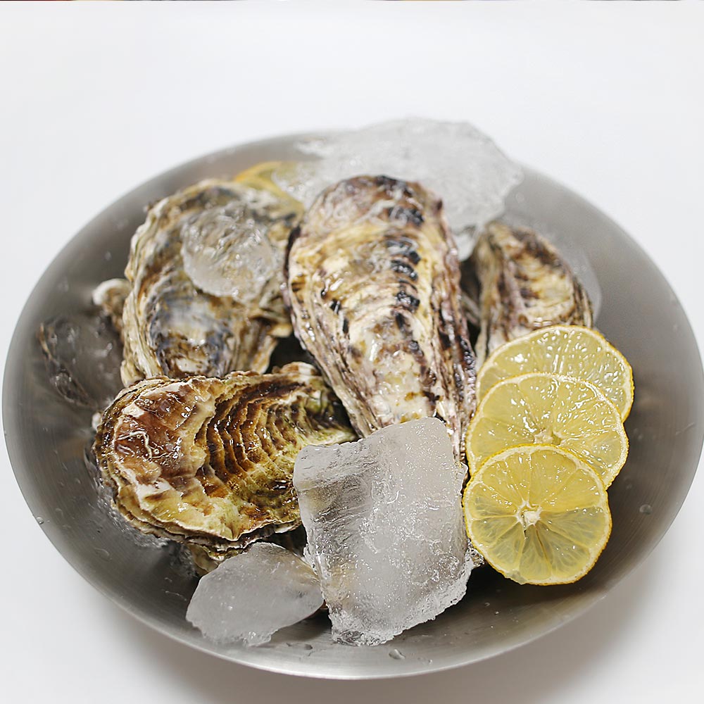 산지직송 통영 제철 굴 석화 각굴 5kg 10kg - 상품 이미지