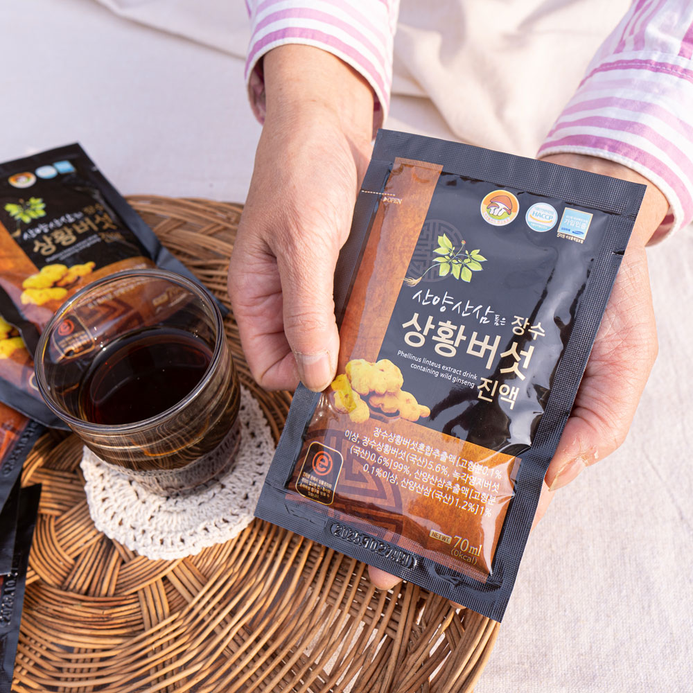 산양산삼 품은 장수상황버섯진액 : 버섯놀이터 변산농장