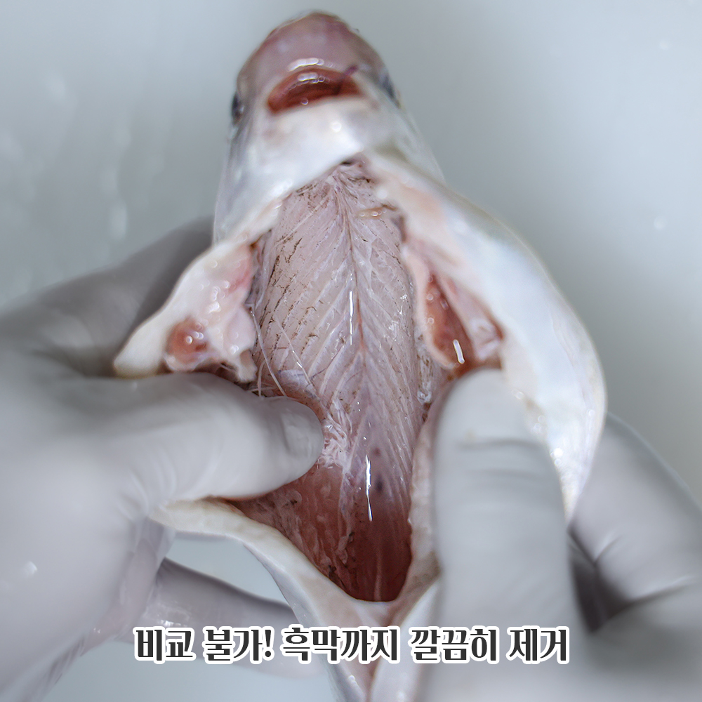 생물 병어 손질 병어회 병치 새꼬시 반건조 덕자 먹 갈치 이미지 8