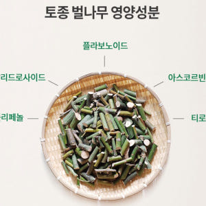 자연산 벌나무 잔가지 껍질 국산 강원도 효능 황달 간에 좋은 음식 약초 ... 맛있게 먹은 솔직 후기 - 상품 이미지 2