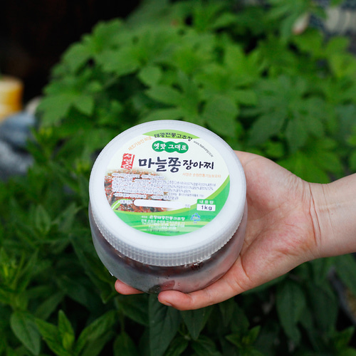 고추장마늘쫑장아찌 국산재료 500g 순창 태광 - 상세 이미지 3