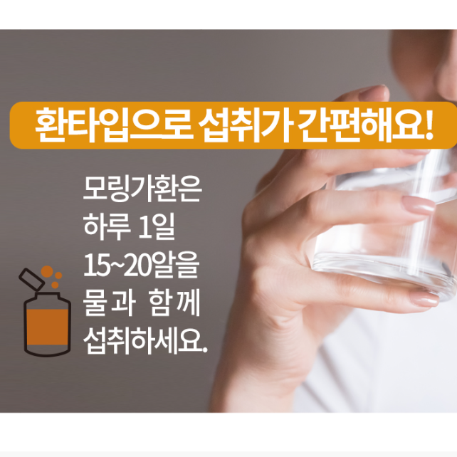 모링가환 모링가정 1kg 모닝가 먹는법 모낭가 열매 - 상세 이미지 3