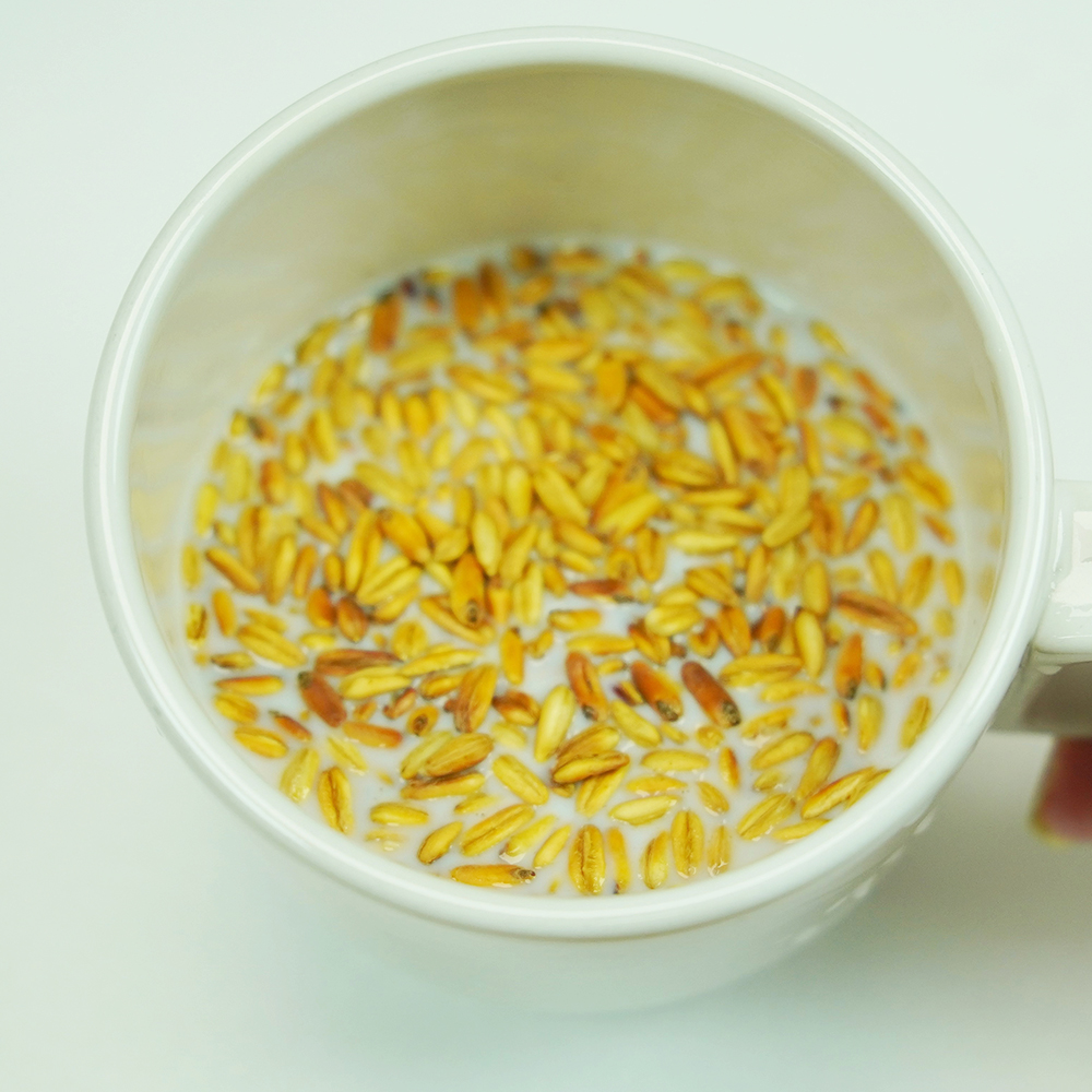 25년산 귀리 국산 유기농 귀리쌀 1kg + 1kg [총2kg]